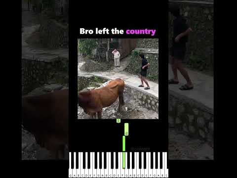 Bro left the country thumbnail