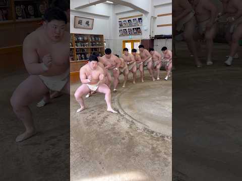 強豪相撲部のちゃんこ鍋作り Sumo wrestler’s Sumo hot pot thumbnail