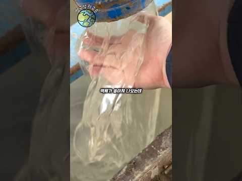 부드럽게 뚫는 ’비밀액체‘ thumbnail