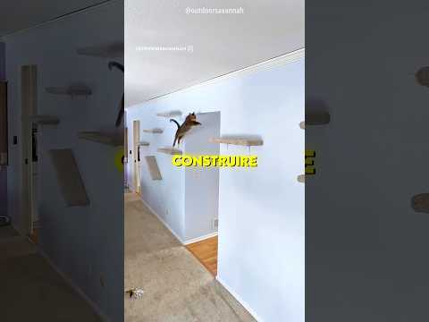 ? Il construit une aire de jeu complète pour son chat thumbnail