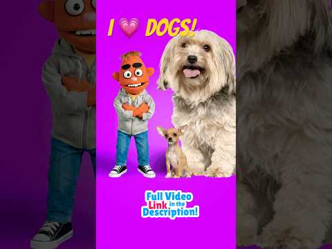 I Love Dogs 🐶 ❤️ | Animal Songs for Kids thumbnail