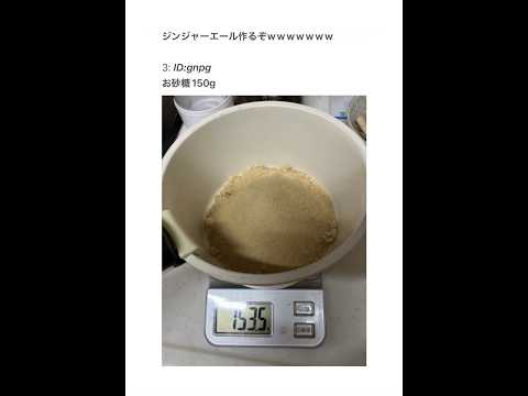 【2ちゃんねる】ジンジャーエール自作するぞwww【アフレコ】 thumbnail