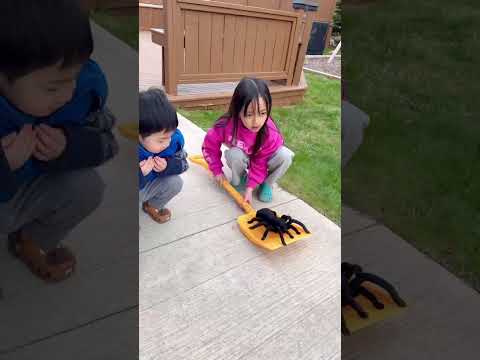 Sister always help brother 👧🏻❤️👶🏻 thumbnail