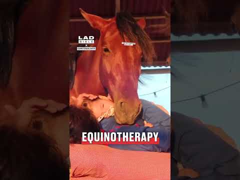 These Horses Are Special ?❤️ thumbnail