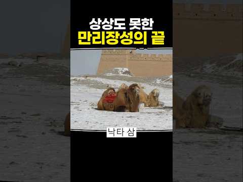 상상도 못한 만리장성의 끝 thumbnail