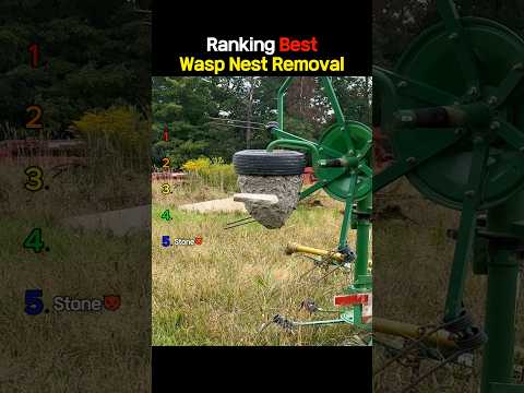 Ranking The Best Wasp Nest Removal Moments 2 thumbnail
