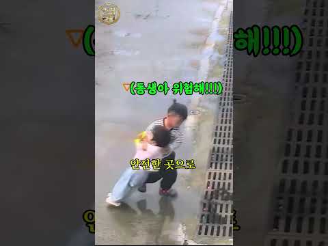 여러분의 형아들은 어땠나요??? thumbnail