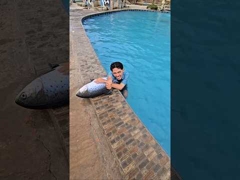 ade duluan yg dapet ikan #trandingshorts thumbnail
