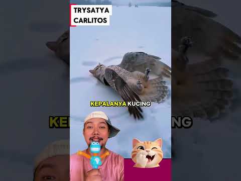 Kucing Punya Sayap!!?? Emang ada?? #comedy #funny #shortfeed #aivideo thumbnail