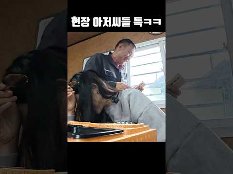 현장 공용어 맞죠?ㅋㅋ  #automobile #초보운전 #덤프트럭 thumbnail