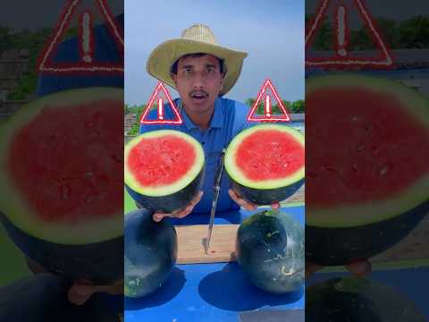 Don’t Eat Watermelon! #shorts thumbnail