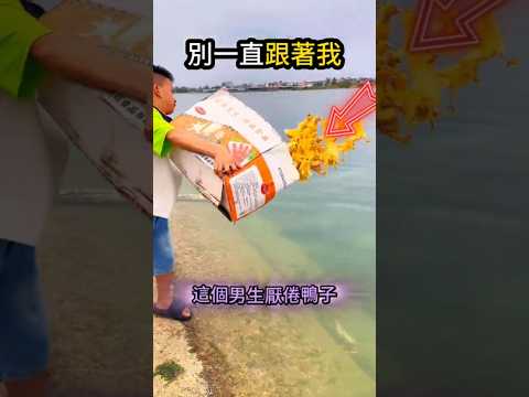 小鴨一直跟住?男生忍不住了? thumbnail