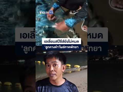 ยังไม่หมด!  หนุ่มทอดแหเจอ "ลูกปลาหมอคางดำ" โผล่อีก thumbnail