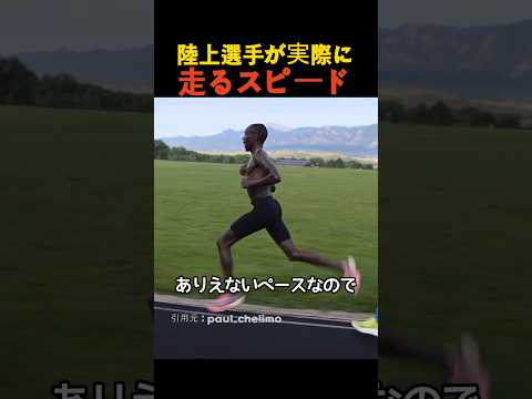 陸上選手が実際に走るスピード thumbnail