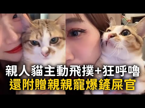 親人貓主動飛撲+狂呼嚕　還附贈親親寵爆鏟屎官 thumbnail