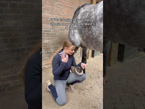 My favorite show is ON 🥳 #equestrian #horses #horserider #relatable #friends #funny #horsegirl thumbnail