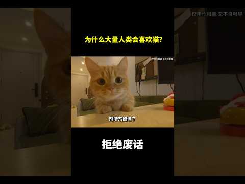 为什么大量人类会喜欢猫？#冷知识 #涨知识 thumbnail