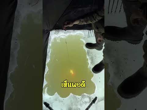 อย่าเชื่อสายตาตัวเองเด็ดขาด!! thumbnail