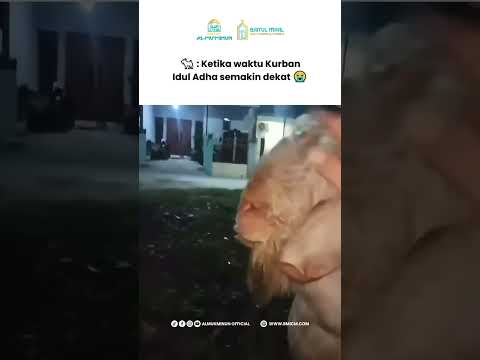 Kambing Ini Sedih Mendekati Kurban Idul Adha #kambing #kurban #iduladha thumbnail
