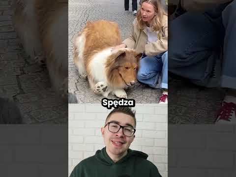 Człowiek, który zamienił się w psa otworzył swoje zoo! thumbnail