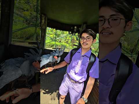 kk ade berani gays megang burung 🤣🤣🤣 #trandingshorts thumbnail