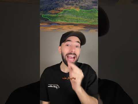 شجرة واحدة بس! عبارة عن غابة  “باندو” أضخم كائن حي بالعالم thumbnail