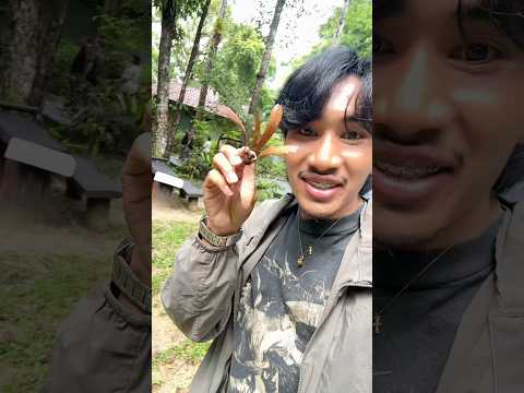 เฮลิคอปเตอร์เมืองไทย!🚁😳 #ลองดู #แม็คเกอร์ #ครอบครัวเอ็นจอย #เอ็นจอยคับผม thumbnail