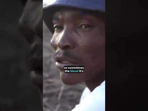 The wild things we see in Africa… thumbnail