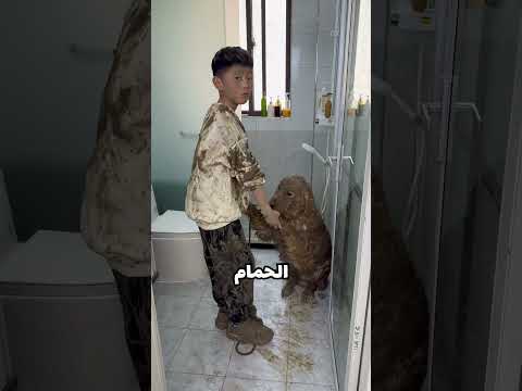حمَّم كلبه كالملوك! 😲 thumbnail