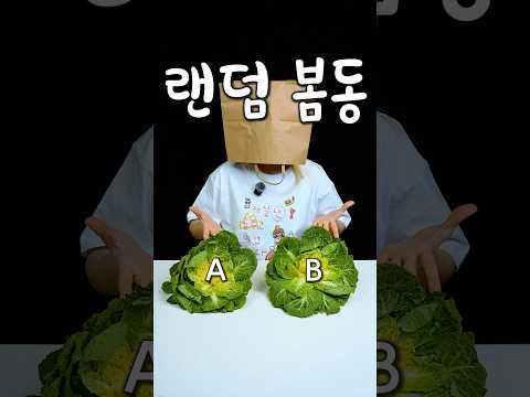 눈감고 랜덤 봄동 비빔밥 thumbnail