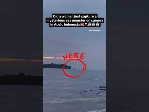 Mysterious 'Sea Monster' Spotted Near Indonesia Coast | #shorts #mystery #viralvideo thumbnail