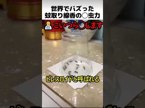 世界でバズった蚊取り線香の使い方 thumbnail