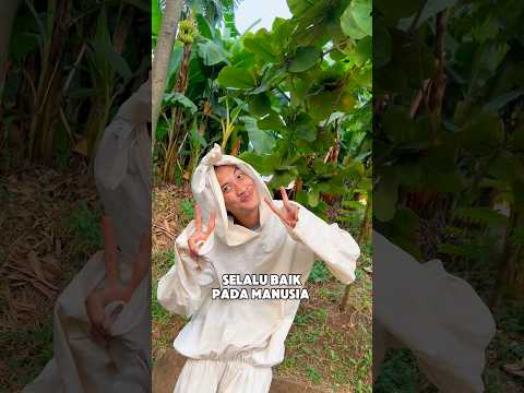 Pocong baik thumbnail