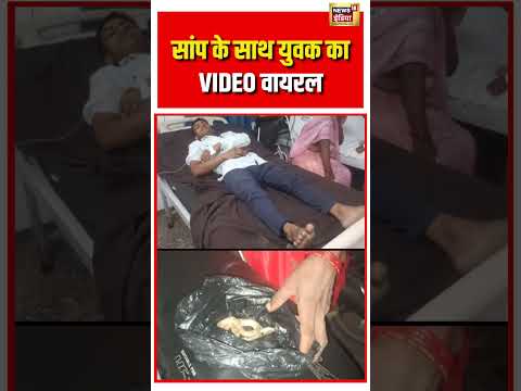 सांप के साथ युवक का VIDEO वायरल | #saamp #viralnews #viralvideo #viral #snake #shortvideo #shorts thumbnail