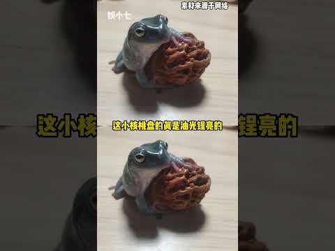 你是说酷酷的天放你都凑齐了？ #酷酷的天放 #王天放 #酷酷的藤 #cp thumbnail