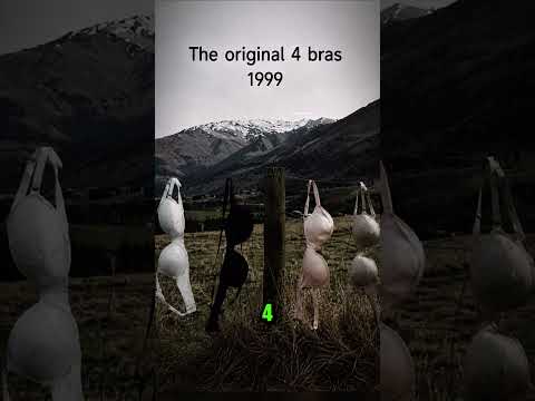 Pagar Sakti Pengumpul Bra Di Dunia ⁉️😲 thumbnail