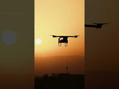 Do not go gentle into that sunrise. thumbnail