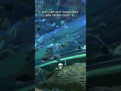 Thang máy ở Trung Quốc kiểu: thumbnail