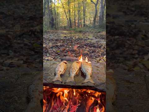 Doğal Taş Üzerinde Lüfer Balığı Pişirme 🍂 🐟 - cooking bluefish on a natural stone ancient method thumbnail