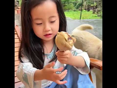 The dog not only guards its owner, but also always worries about others #pets #cute #funny #shorts thumbnail