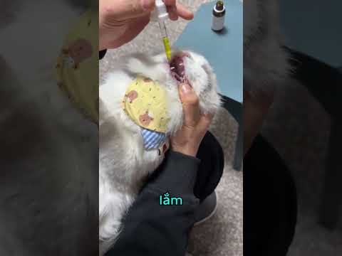 Mẹ ơi thuốc đắng mà 🥹 thumbnail
