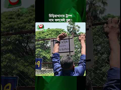 ভাইরাল সাদা মহিষ নিয়ে দর্শনার্থীদের হাসাহাসি, সমালোচনায় চিড়িয়াখানা কর্তৃপক্ষ Buffalo | Trump at Zoo thumbnail
