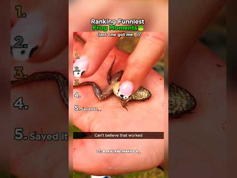 Ranking The Funniest Frog Moments? thumbnail