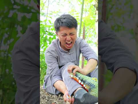 Ermao wants to keep tricking Songsong out of his food #funny #comedy thumbnail