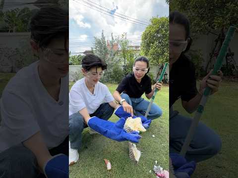 ทุเรียนไนโตรเจน thumbnail