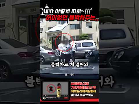 '내가 어떻게 하꼬!!' 너무 어이없고 억울했던 블박차주는.. thumbnail