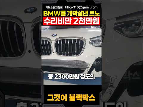 BMW를 개박살낸 르노 수리비만 2천만원 thumbnail