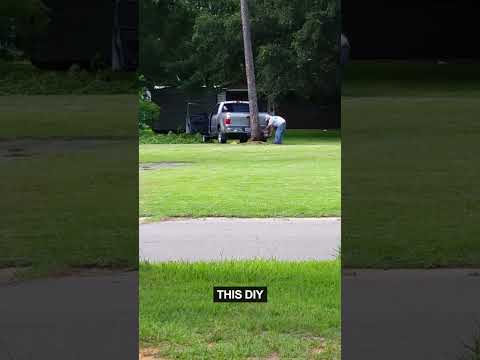 Arborist Adventures Gone Wrong... thumbnail