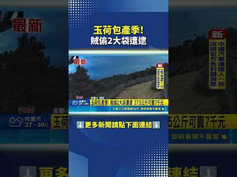 玉荷包產季! 賊偷2大袋遭逮 #三立live新聞 #shorts thumbnail