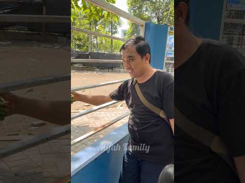 Kasih Makan Rusa Tapi Kok⁉️ thumbnail